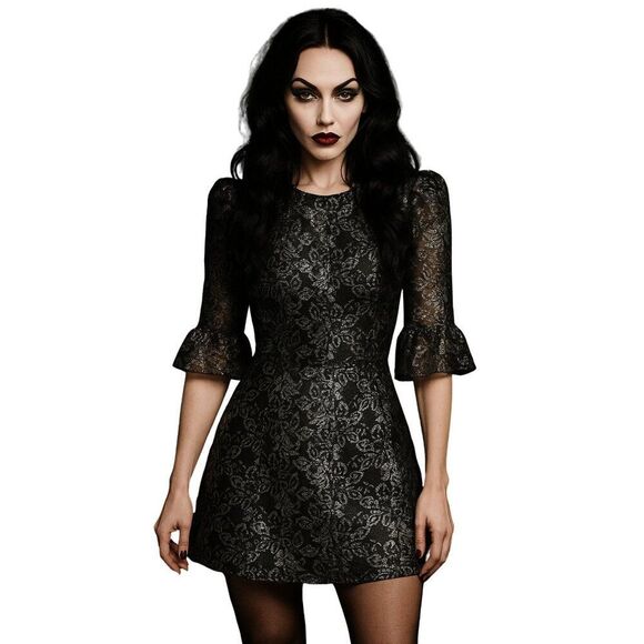 NWT The Vampire's Wife x H&M Mystique Dress Black Silver Floral Lace - Picture 1 of 12